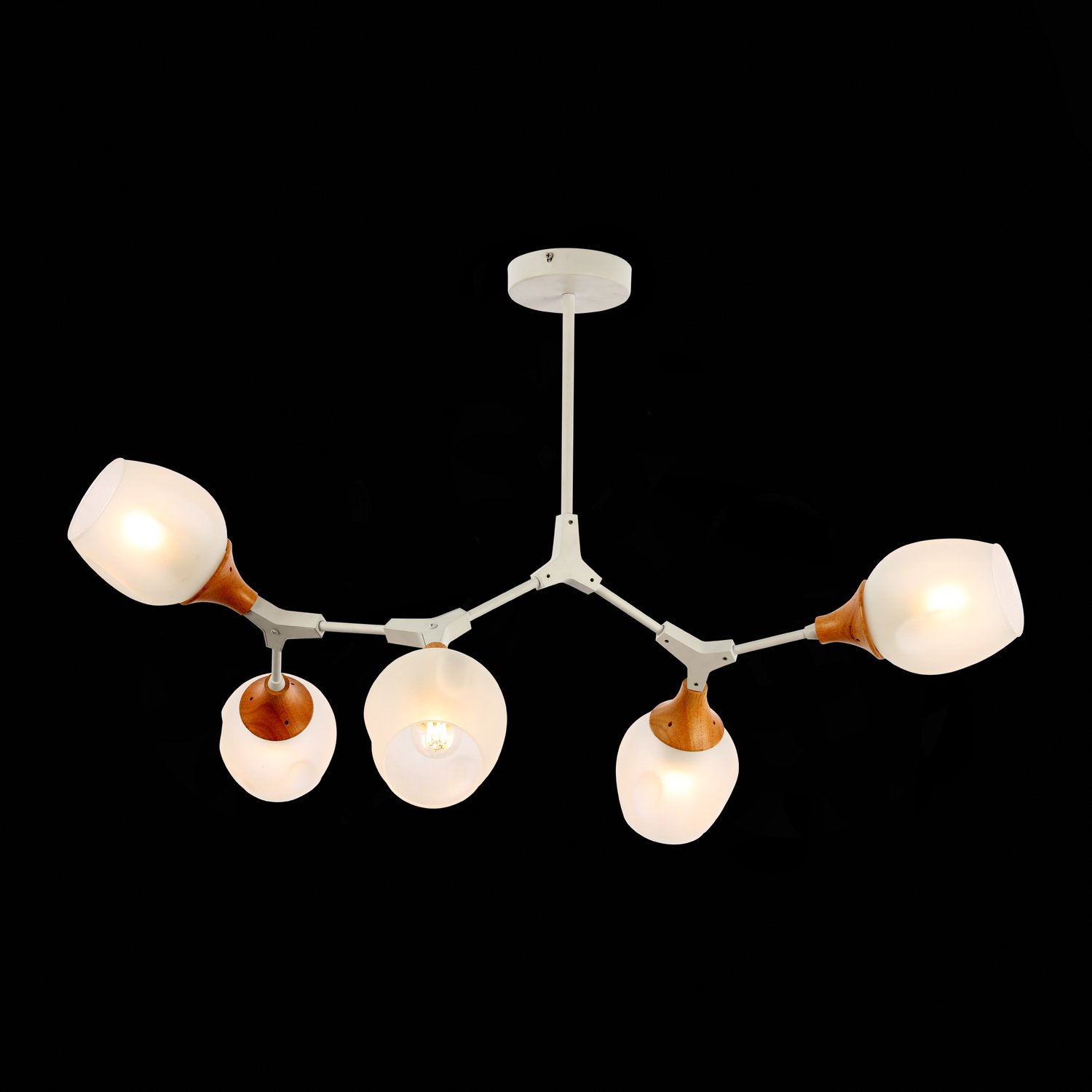 Картинка Потолочная люстра Evoluce Ciotolla SLE113502-05