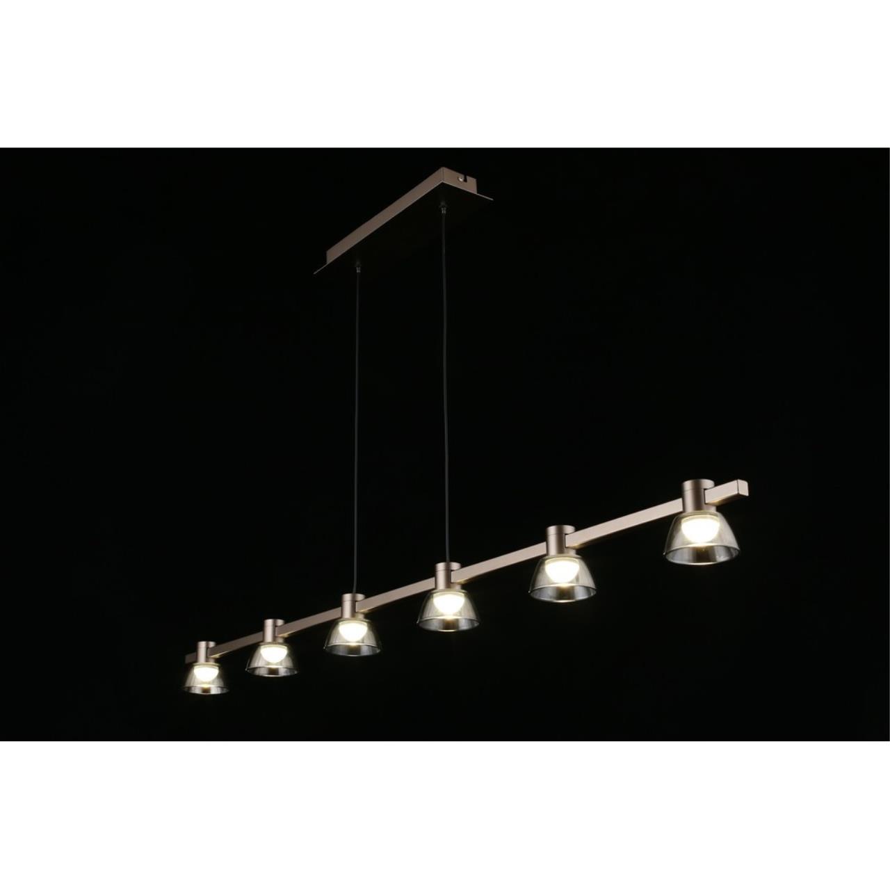 Картинка APL.788.03.06 Светильник подвесной Aployt Rezeda