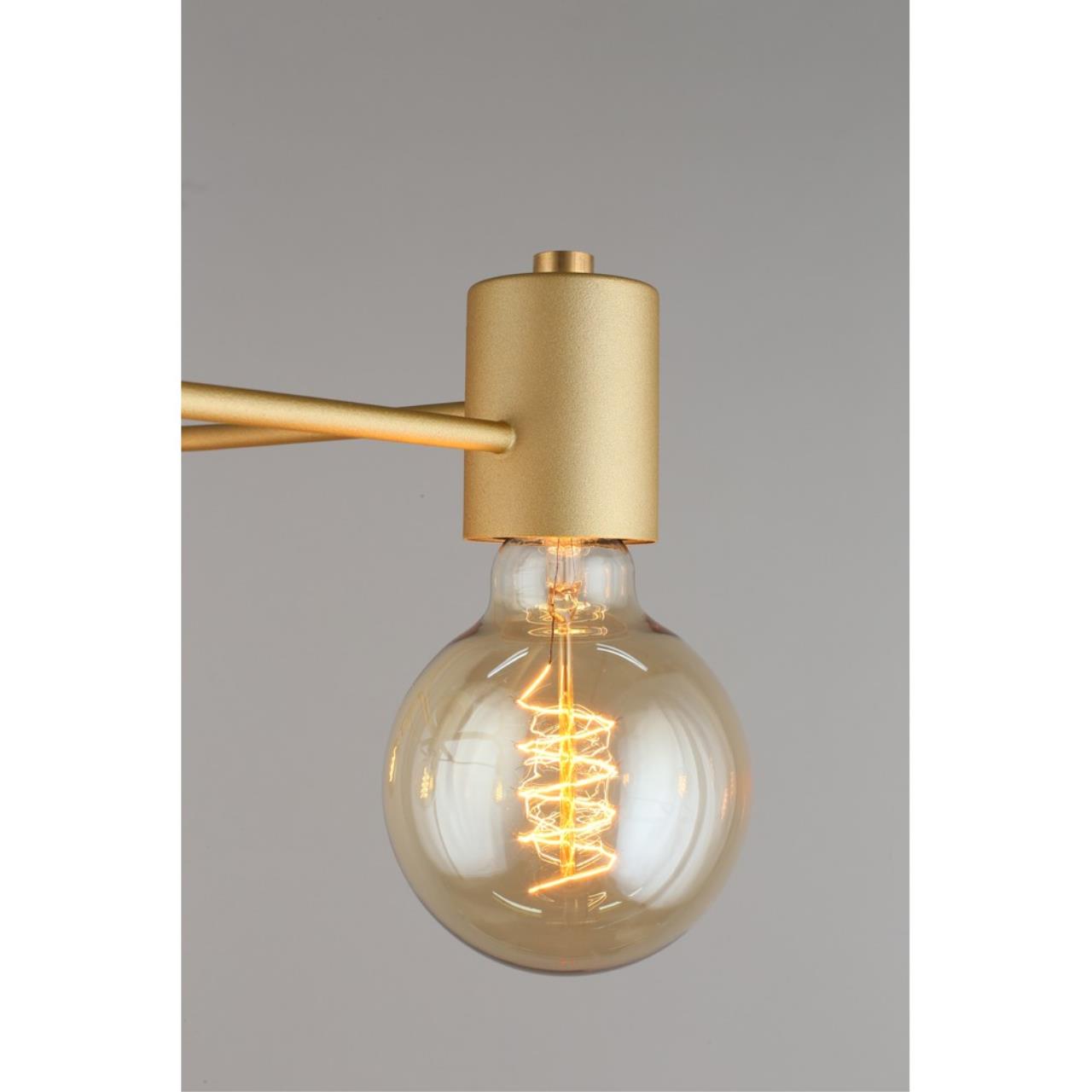 Картинка Потолочная люстра Aployt Elison APL.911.07.05