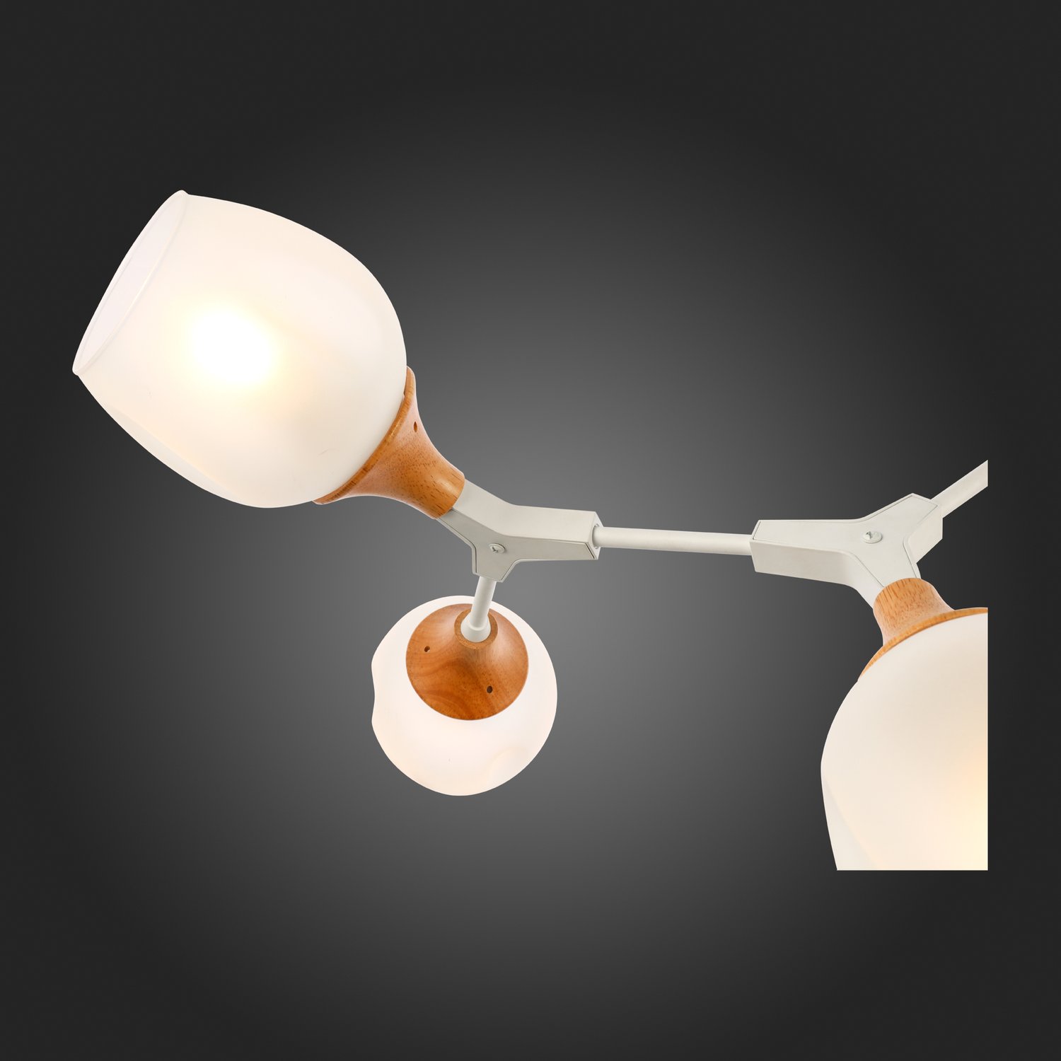 Картинка Потолочная люстра Evoluce Ciotolla SLE113502-05