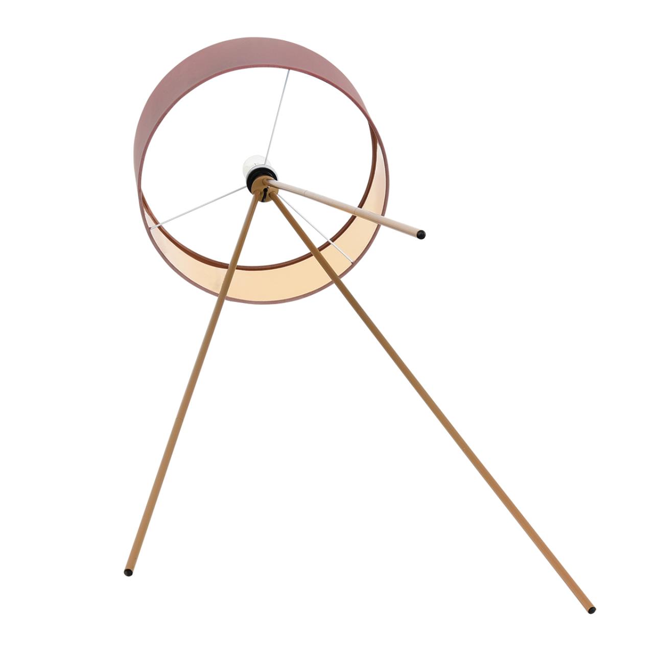 Картинка 8076/1F Lumion Торшер AVIOLA