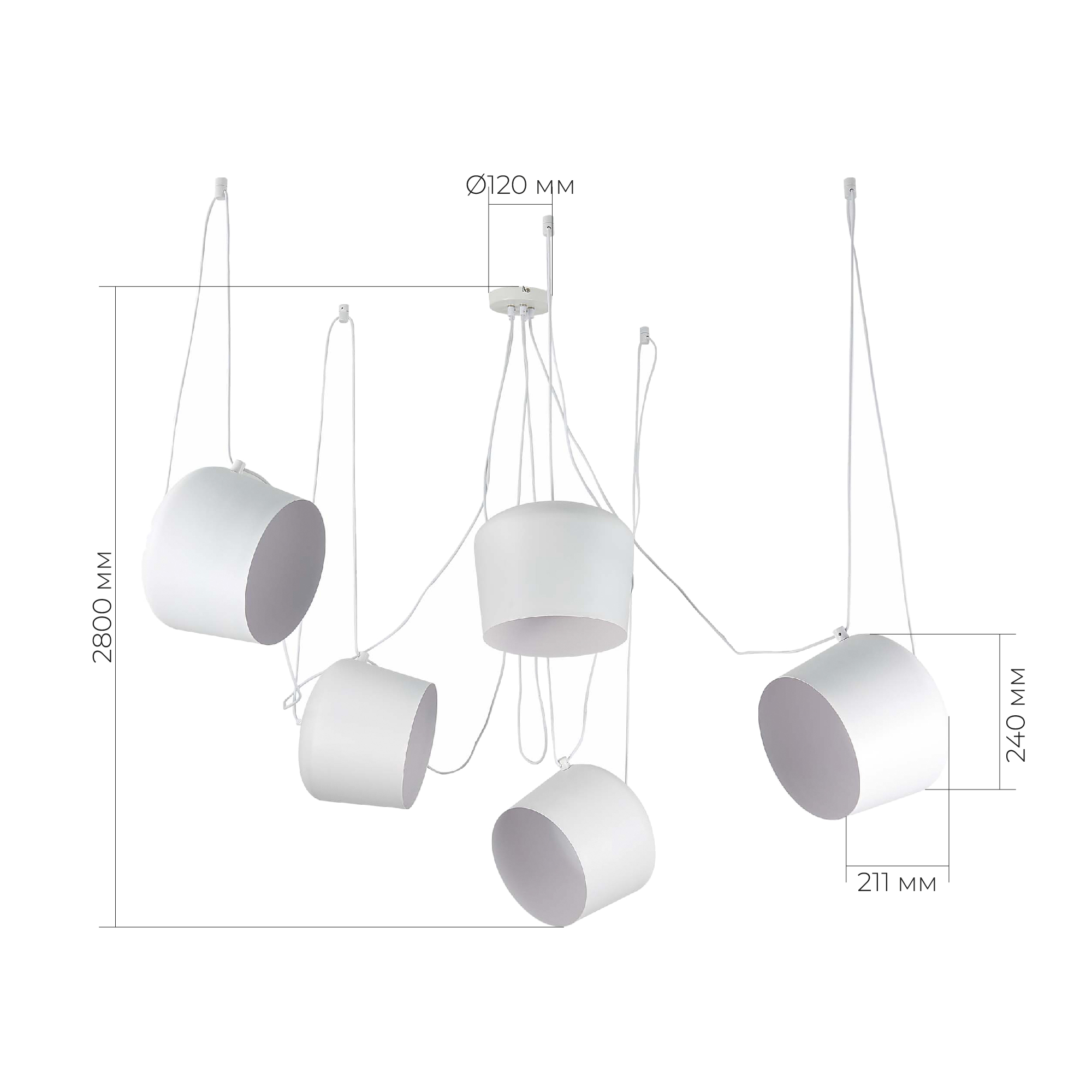 Картинка Подвесная люстра Evoluce Trieste SLE120653-05