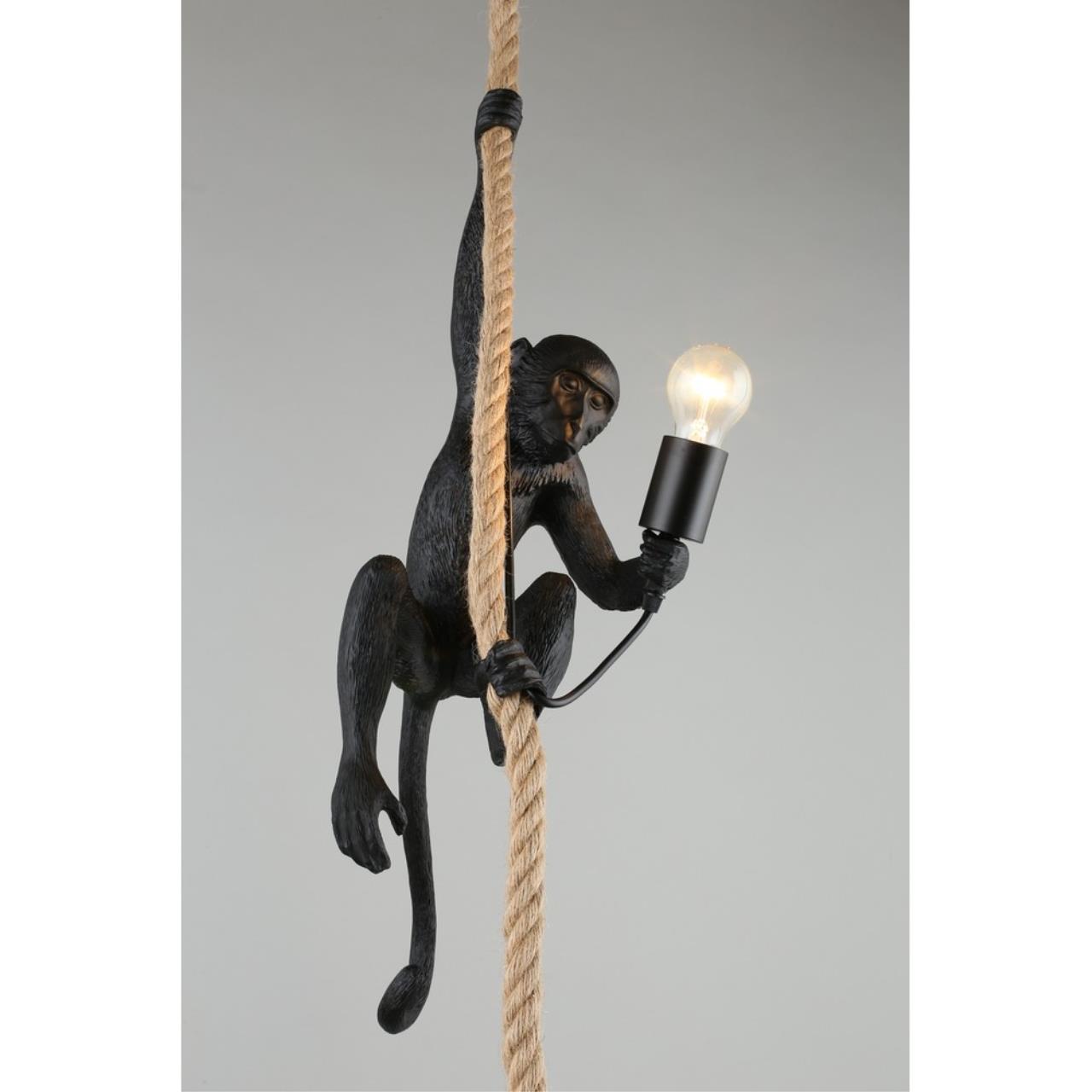 Картинка Подвесной светильник Aployt Magali APL.309.16.01