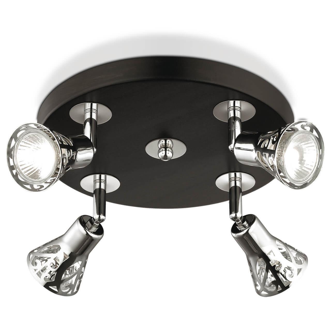 Картинка Спот Odeon Light Bierzo 2612/4C