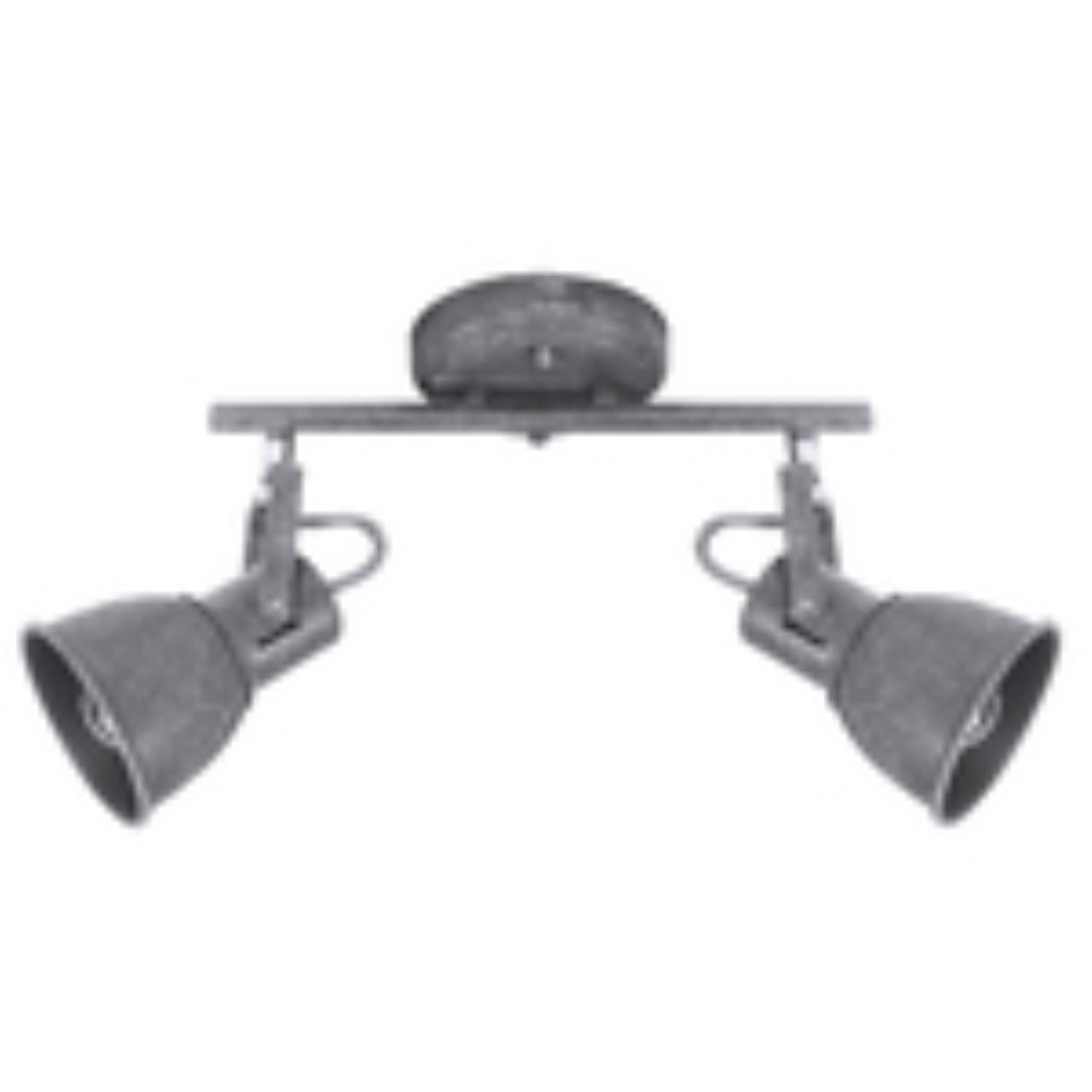 Картинка Спот Arte Lamp A1677PL-2GY