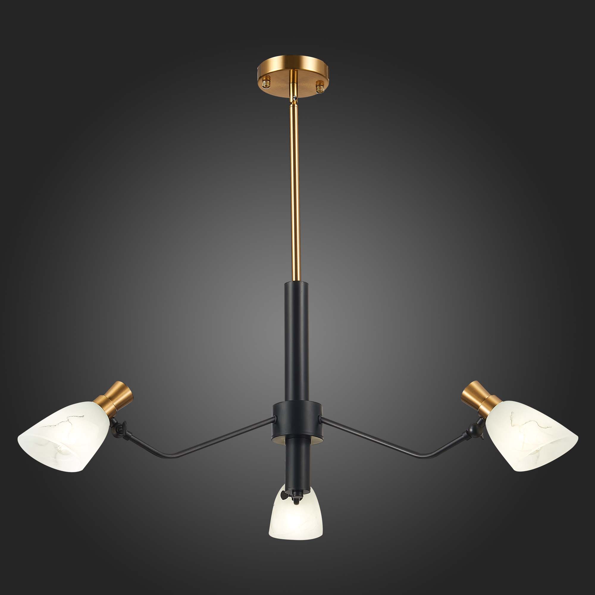 Картинка Подвесная люстра Evoluce Lita SLE205403-03