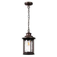 Дополнительная картинка Уличный подвесной светильник Odeon Light Nature Mavret 4961/1