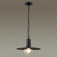 Дополнительная картинка Уличный подвесной светильник Odeon Light Nature Furcadia 4833/1