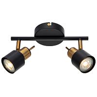 Дополнительная картинка Спот Arte Lamp Almach A1906PL-2BK