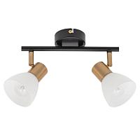 Дополнительная картинка Настенно-потолочный светильник Arte Lamp Falena A3117PL-2BK