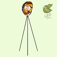 Торшер Lussole Lgo Klamath GRLSP-0556 купить в Алматы svet.kz
