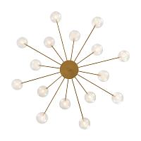 Дополнительная картинка Потолочная люстра Freya FR5242CL-16BS1