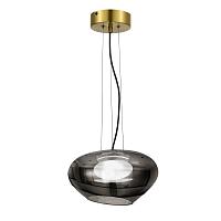 Дополнительная картинка SL6019.303.01 Светильник подвесной ST-Luce FORAY