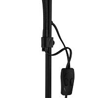 Дополнительная картинка Торшер Arte Lamp Duetto A9569PN-2BK