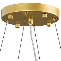 Дополнительная картинка Подвесная люстра Lightstar Savona 816102