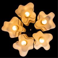 Дополнительная картинка Потолочный светильник Arte Lamp 18 A3479PL-5CC