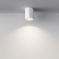 Дополнительная картинка Потолочный светильник Maytoni Antares C029CL-01W