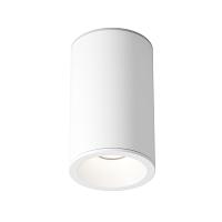 Дополнительная картинка Потолочный светильник Technical C029CL-01-S-W