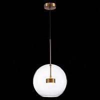 Дополнительная картинка Подвесной светодиодный светильник ST Luce Bopone SL1133.223.01