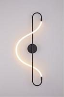 Дополнительная картинка Настенный светильник Arte Lamp KLIMT A2850AP-13BK