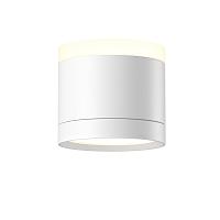 люстры потолочный светильник technical c120cl-gx53-w, доставка по Казахстану 