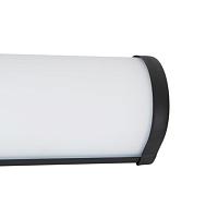 Дополнительная картинка Настенный светильник AQUA-BARA Arte Lamp A5210AP-3BK