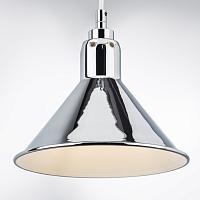 Дополнительная картинка Подвесной светильник Lightstar Loft 765024