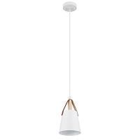 Дополнительная картинка Светильник подвесной Arte Lamp THOMAS A7032SP-1WH