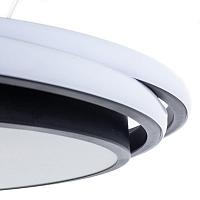 Дополнительная картинка Потолочный светодиодный светильник Arte Lamp Sonny A2688PL-1BK
