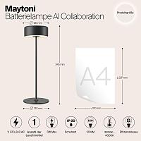 Дополнительная картинка Аккумуляторный светильник Maytoni MOD229TL-L3B3K2