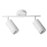 Дополнительная картинка Настенно-потолочный светильник Arte Lamp IMAI A2365PL-2WH