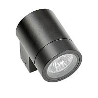 Дополнительная картинка Уличный настенный светильник Lightstar Paro 350607