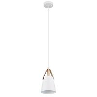 Дополнительная картинка Светильник подвесной Arte Lamp THOMAS A7032SP-1WH