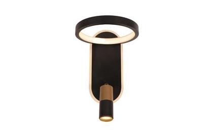 Настенный светильник Arte Lamp TOLIMAN A2613AP-2BK