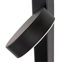 Дополнительная картинка Светильник настенный Arte Lamp MIRACH A2142AP-10BK