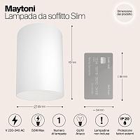 Дополнительная картинка Потолочный светильник Maytoni Alfa C014CL-01W