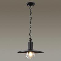 Дополнительная картинка Уличный подвесной светильник Odeon Light Nature Furcadia 4833/1