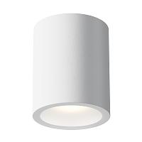 Дополнительная картинка Потолочный светильник Maytoni Conik Gyps C001CW-01W