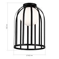 Дополнительная картинка SL6129.402.01 Светильник потолочный ST-Luce 