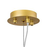 Дополнительная картинка Подвесной светильник Lightstar Savona 816022