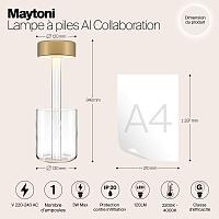 Дополнительная картинка Аккумуляторный светильник Maytoni MOD229TL-L3G3K1