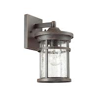 Дополнительная картинка Уличный настенный светильник Odeon Light Nature Virta 4044/1W