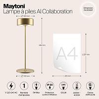Дополнительная картинка Аккумуляторный светильник Maytoni MOD229TL-L3G3K2