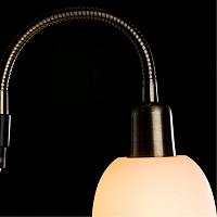 Дополнительная картинка Торшер Arte Lamp Duetto A9569PN-2AB