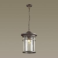 Дополнительная картинка Уличный подвесной светильник Odeon Light Nature Virta 4044/1