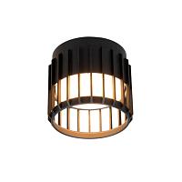 Дополнительная картинка Потолочный светильник Arte Lamp ATRIA A8031PL-1BK