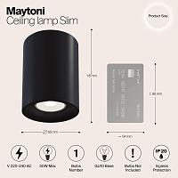Дополнительная картинка Потолочный светильник Maytoni Alfa C012CL-01B