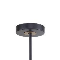 Дополнительная картинка Потолочная люстра F-Promo Rigor 2844-5P