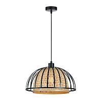 Дополнительная картинка Подвесной светильник Arte Lamp WOODSTOCK A7071SP-1BK
