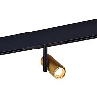 ST808.236.08 Магнитный трековый светильник Золотистый LED 1*8W 3000K 550Lm Ra>90 36° IP20 D42xH135 48VV купить в Алматы svet.kz